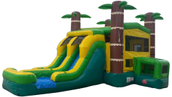 Green Tropics DL Inflatable Combo